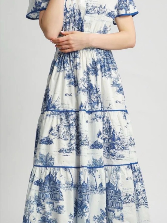 Umgee Dresses & Skirts - Umgee Blue and White Toile Maxi Dress